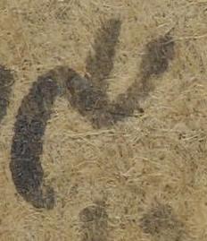 Ligature-Connected - #39163