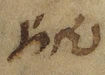 Abbreviation - #39970