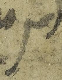 Ligature-Connected - #40470