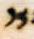 Letter - #4052