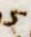 Letter - #4067