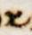 Letter - #4069