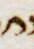 Letter - #4072