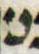 Letter - #4110
