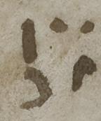 Abbreviation - #41126