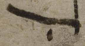 Justification - #41518