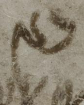 Ligature-Connected - #41573