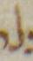 Letter - #4200