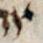 Letter - #4209