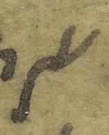 Ligature-Connected - #42814