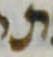 Letter - #4438