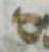 Letter - #4442