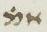 Abbreviation - #44951
