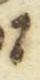 Letter - #45335