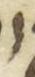 Letter - #45349
