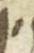 Letter - #45352