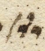 Divine Symbol - #45977