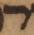 Letter - #47979