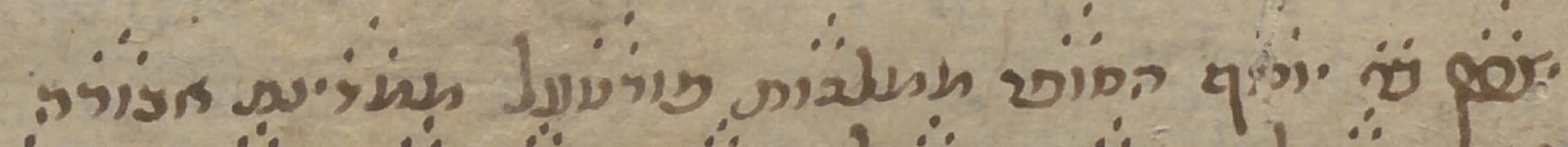 Personal Signature - #48059