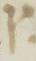 Letter - #4822
