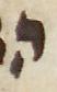 Letter - #48275
