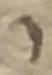 Letter - #48350