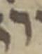 Letter - #48500