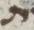 Letter - #4862