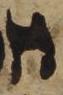 Letter - #48724