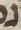 Letter - #4898