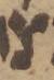 Letter - #48986