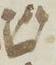 Letter - #4912