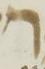Letter - #4921