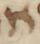 Letter - #49228