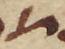 Letter - #49262