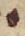 Letter - #49281