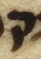 Letter - #49331