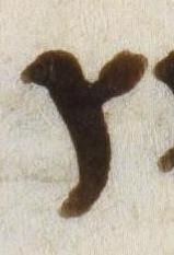 Letter - #49336