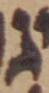 Letter - #49357