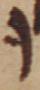 Letter - #49372