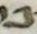Letter - #4939