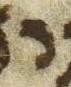 Letter - #49436