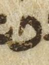 Letter - #49440