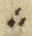 Editorial Symbol - #49445