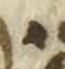Letter - #49455