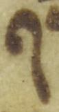 Letter - #49637