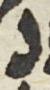 Letter - #49842