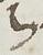 Letter - #49946