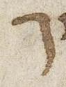 Letter - #49959