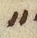 Punctuation - #49999